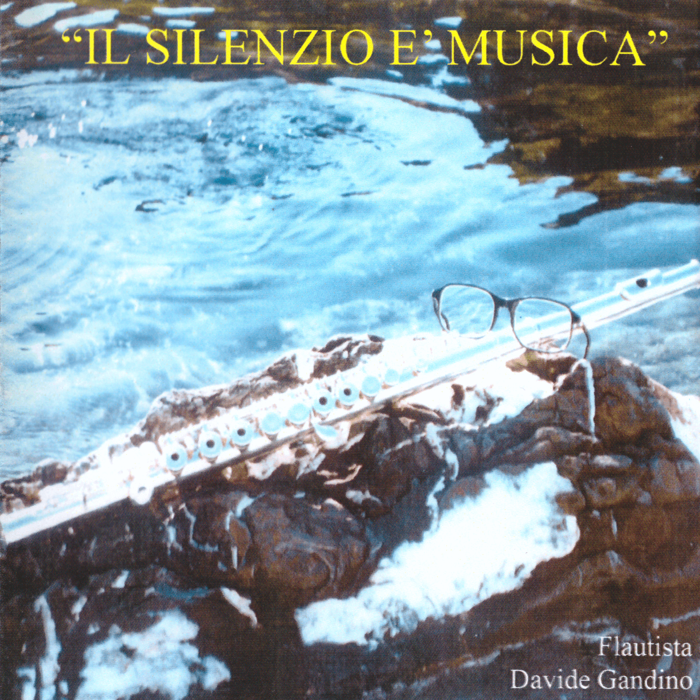 Il silenzio è musica (cover)